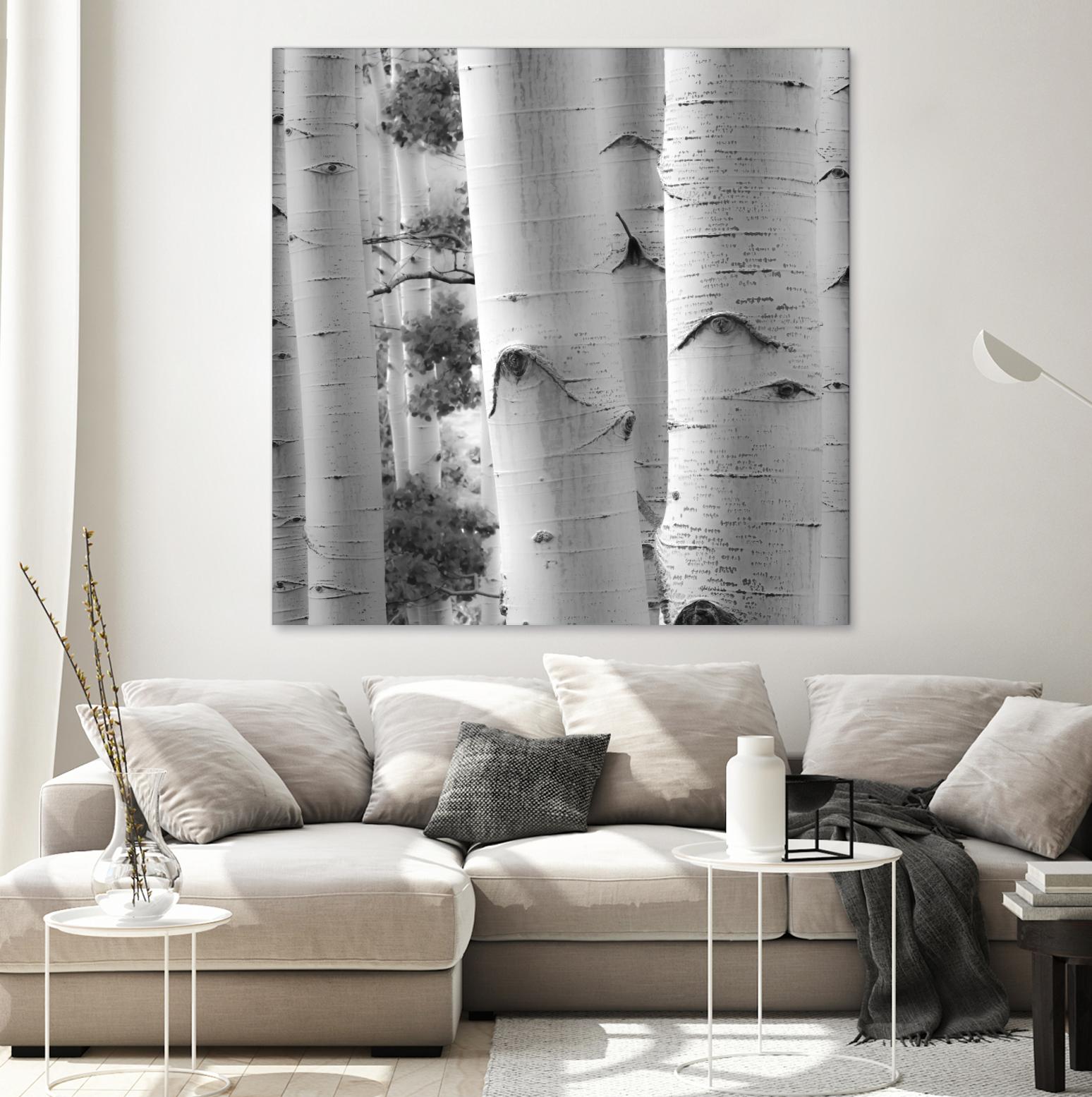 Birches in Grey I by Rick Cotter on GIANT ART - black trees
