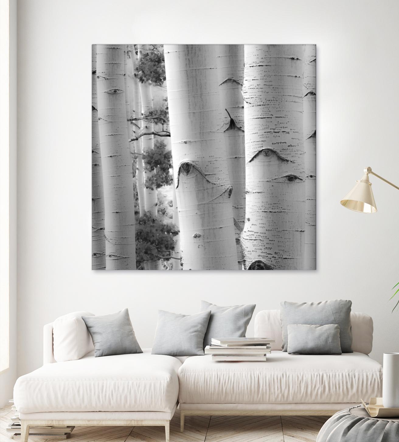 Birches in Grey I by Rick Cotter on GIANT ART - black trees