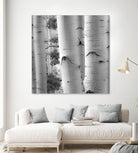 Birches in Grey I by Rick Cotter on GIANT ART - black trees