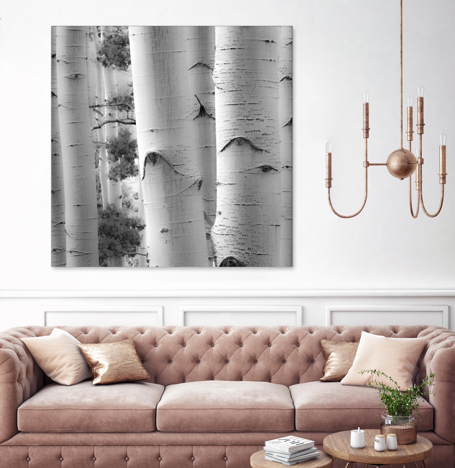 Birches in Grey I by Rick Cotter on GIANT ART - black trees