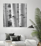 Birches in Grey I by Rick Cotter on GIANT ART - black trees