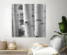 Birches in Grey I by Rick Cotter on GIANT ART - black trees
