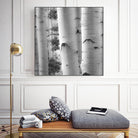 Birches in Grey I by Rick Cotter on GIANT ART - black trees