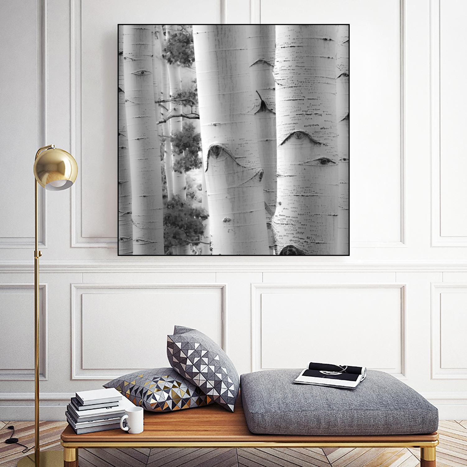 Birches in Grey I by Rick Cotter on GIANT ART - black trees