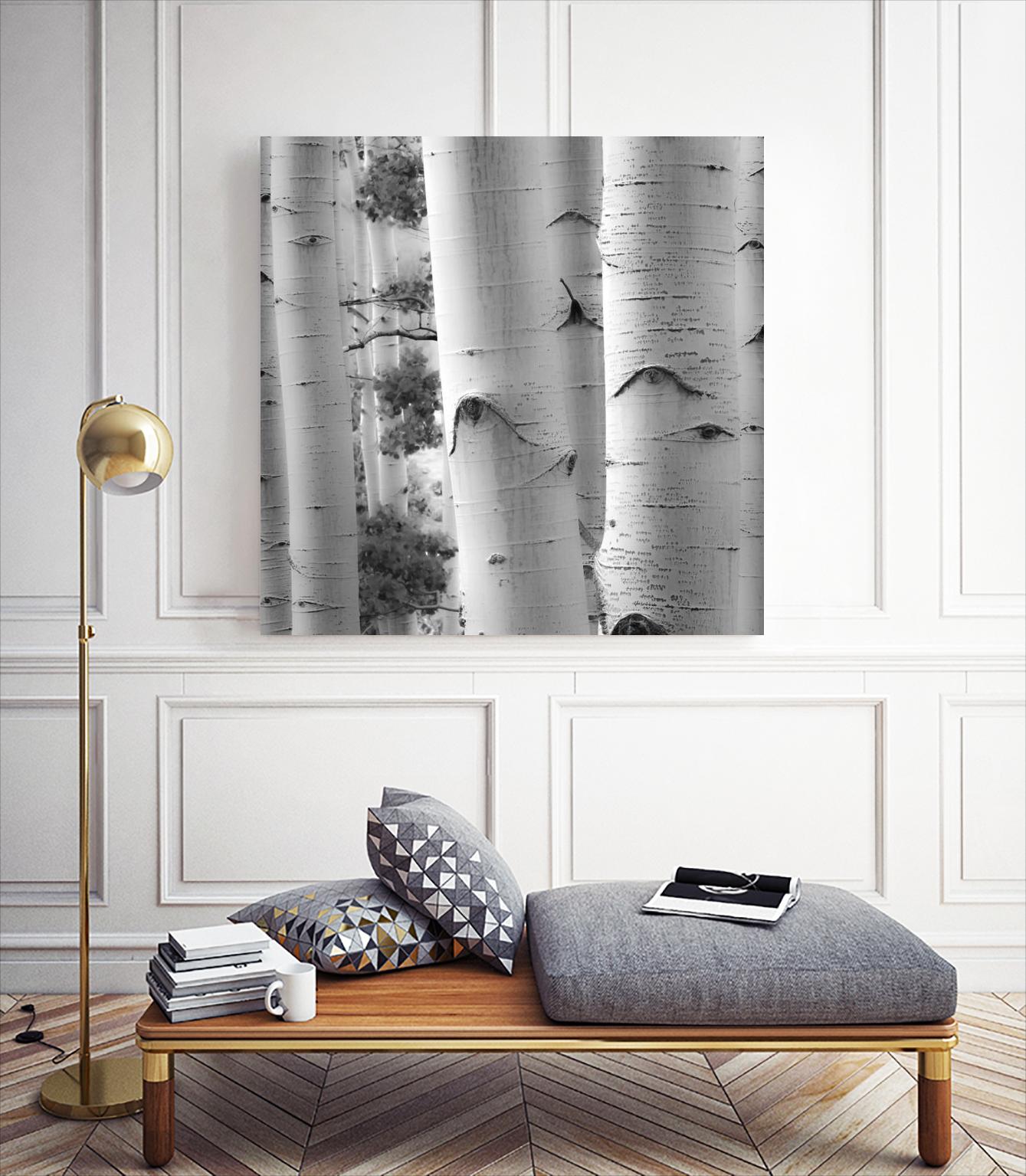 Birches in Grey I by Rick Cotter on GIANT ART - black trees