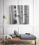 Birches in Grey I by Rick Cotter on GIANT ART - black trees
