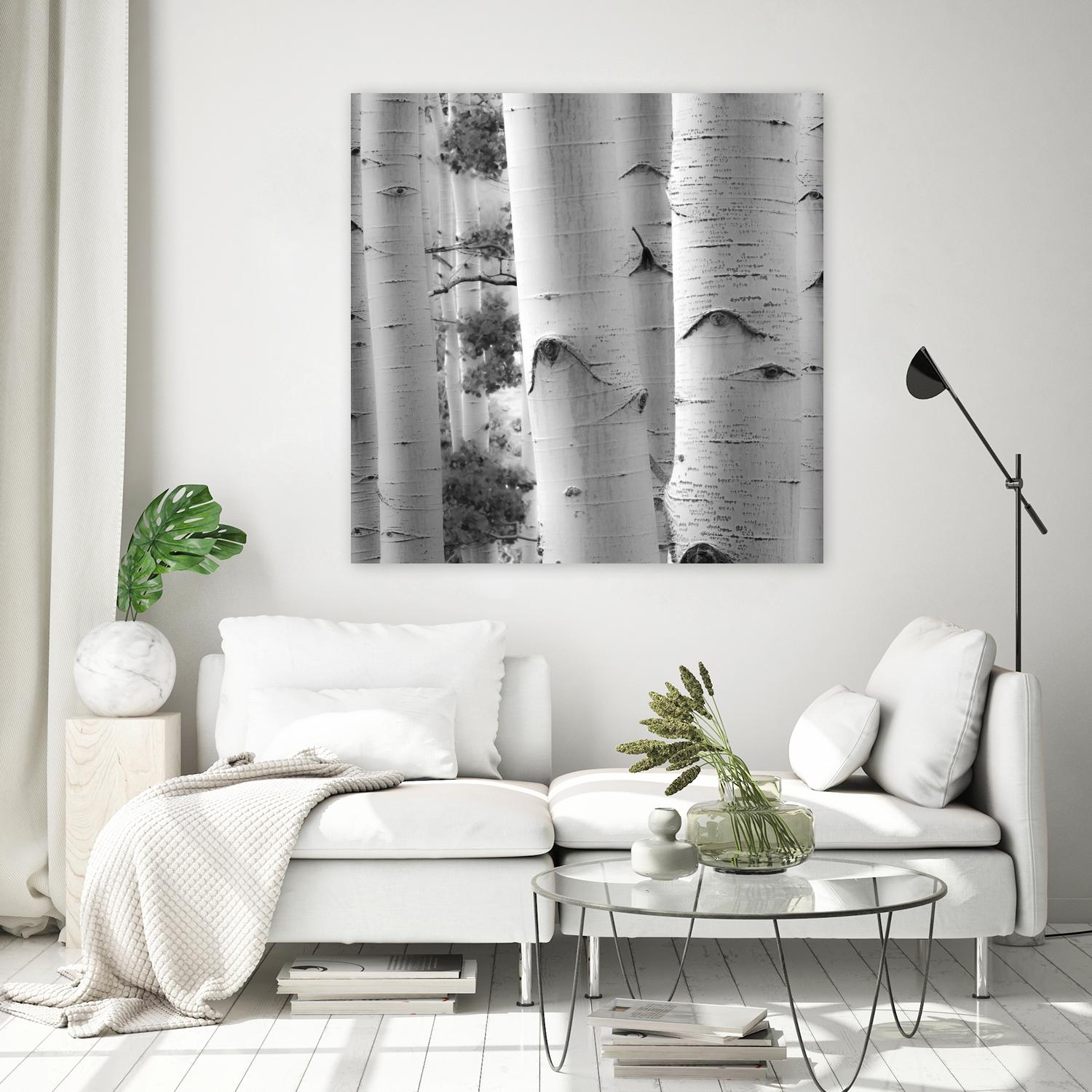 Birches in Grey I by Rick Cotter on GIANT ART - black trees