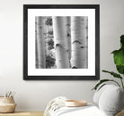 Birches in Grey I by Rick Cotter on GIANT ART - black trees