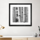 Birches in Grey I by Rick Cotter on GIANT ART - black trees