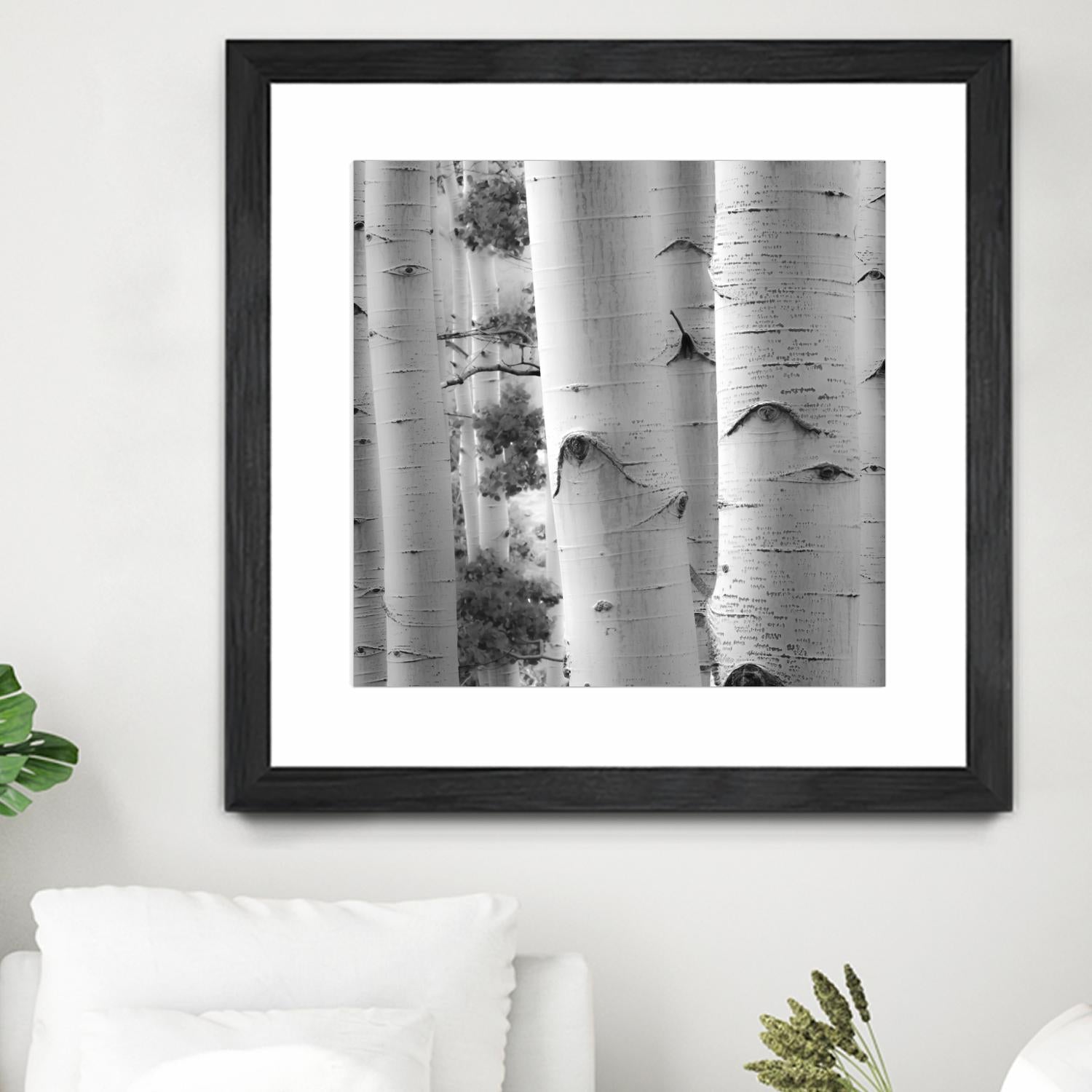 Birches in Grey I by Rick Cotter on GIANT ART - black trees