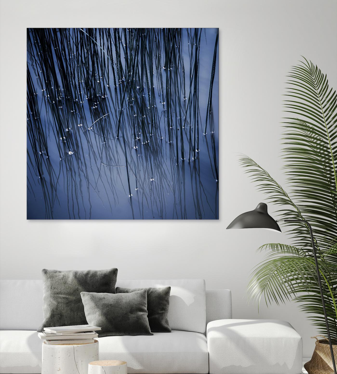 Lily Pond Blue III by Rebecca Cozart on GIANT ART - black photo art