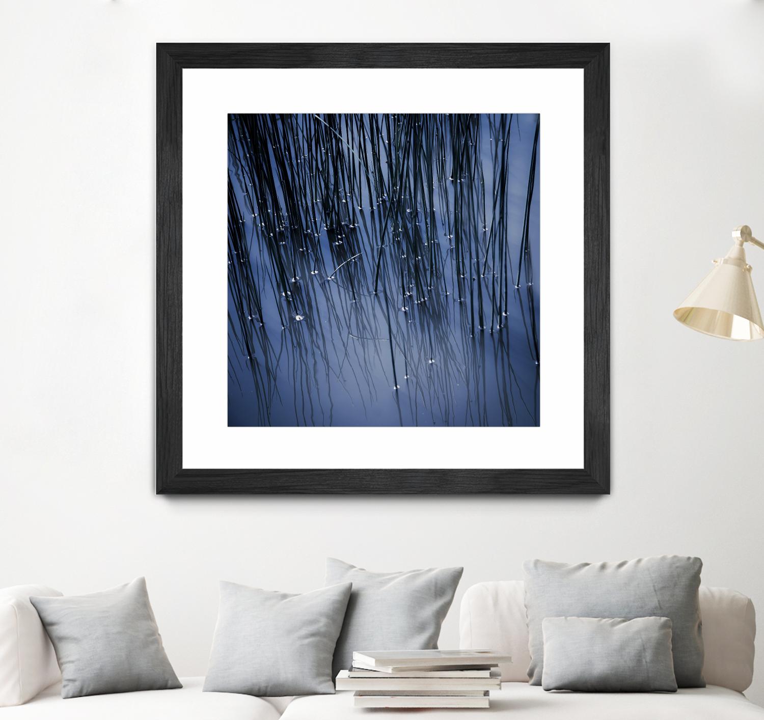 Lily Pond Blue III by Rebecca Cozart on GIANT ART - black photo art