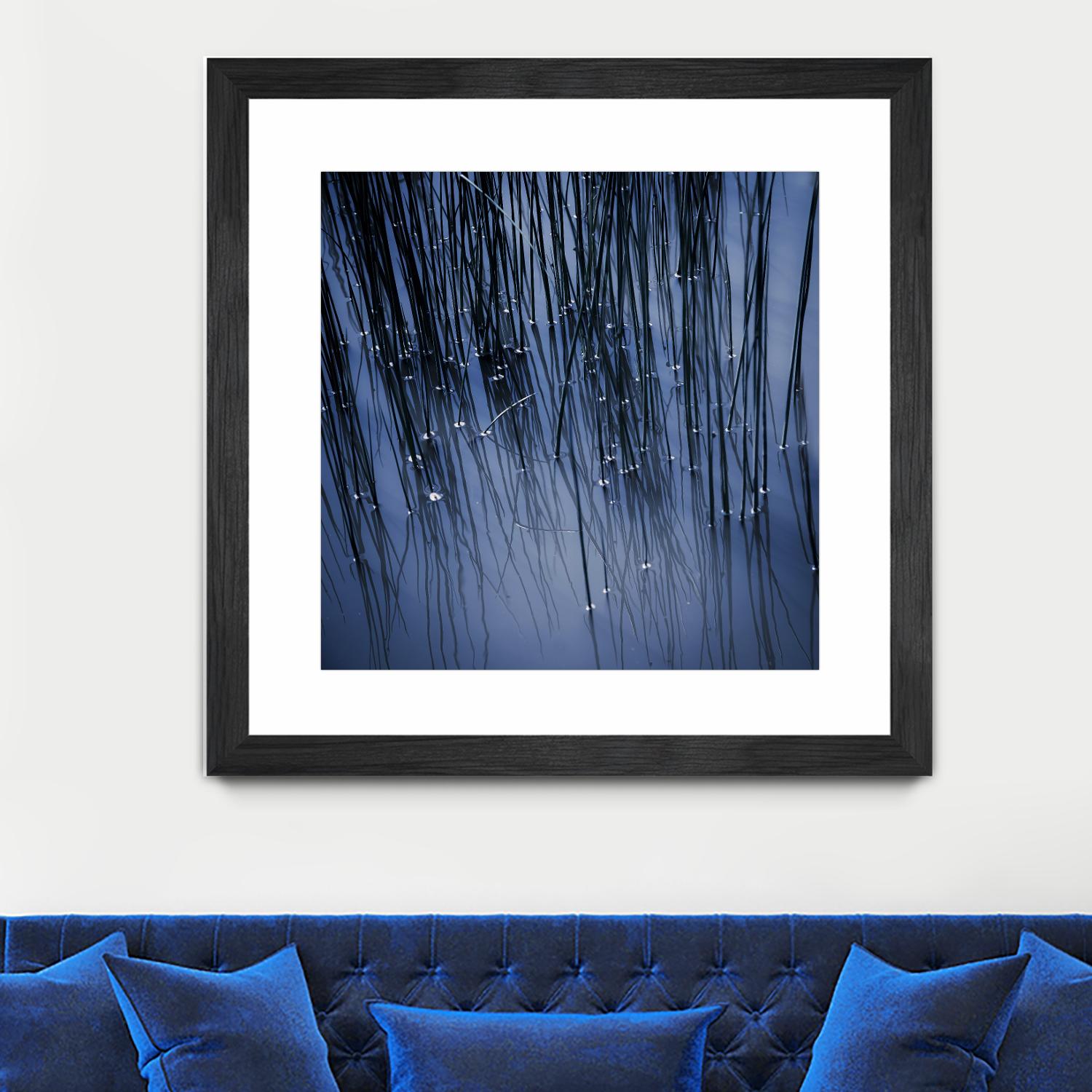 Lily Pond Blue III by Rebecca Cozart on GIANT ART - black photo art
