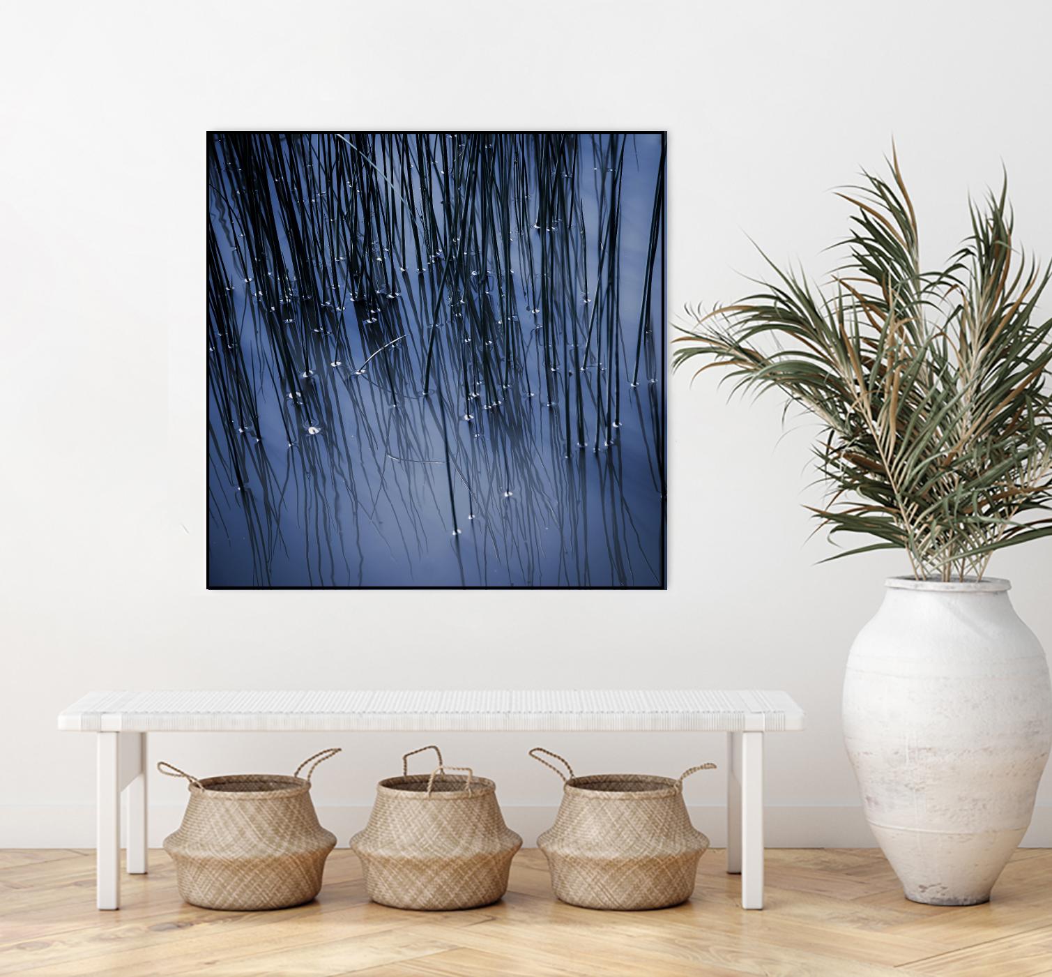 Lily Pond Blue III by Rebecca Cozart on GIANT ART - black photo art