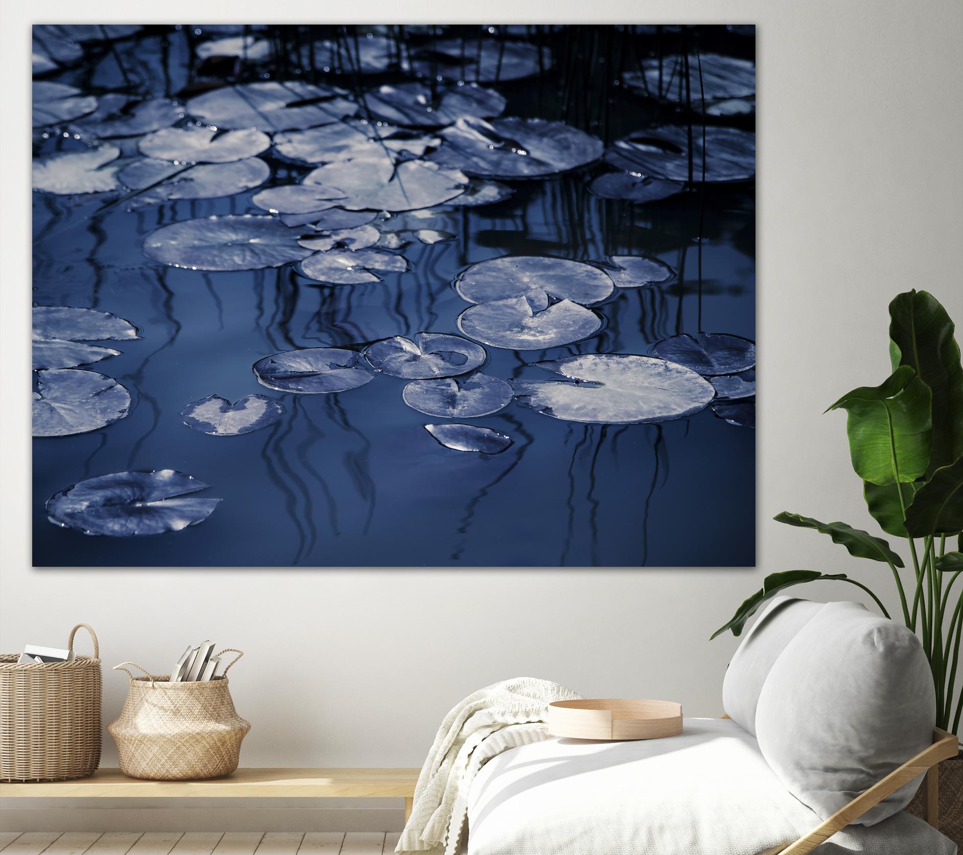 Lili Pond Blue VII by Marc Schacter on GIANT ART - grey photo art