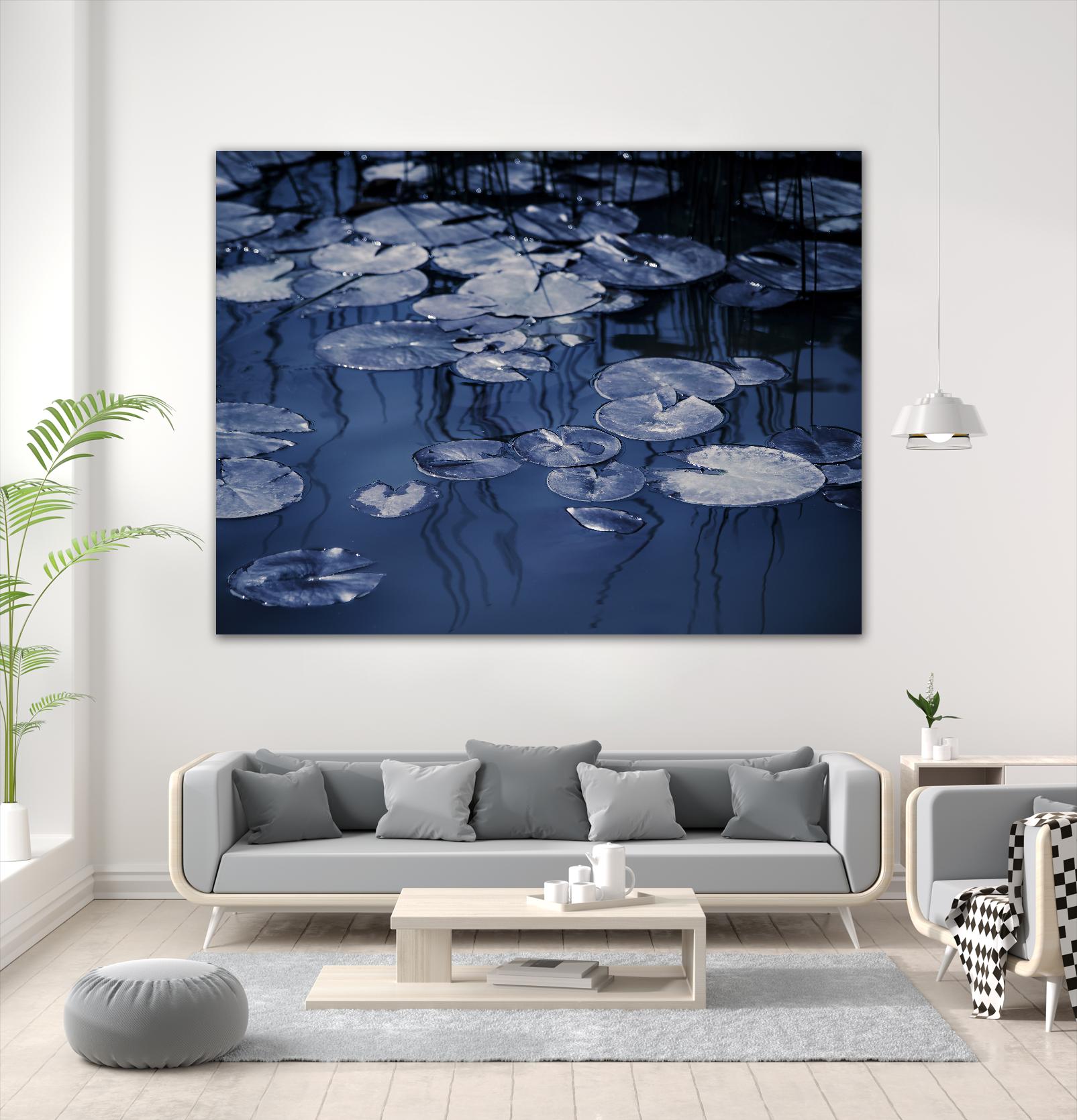 Lili Pond Blue VII by Marc Schacter on GIANT ART - grey photo art