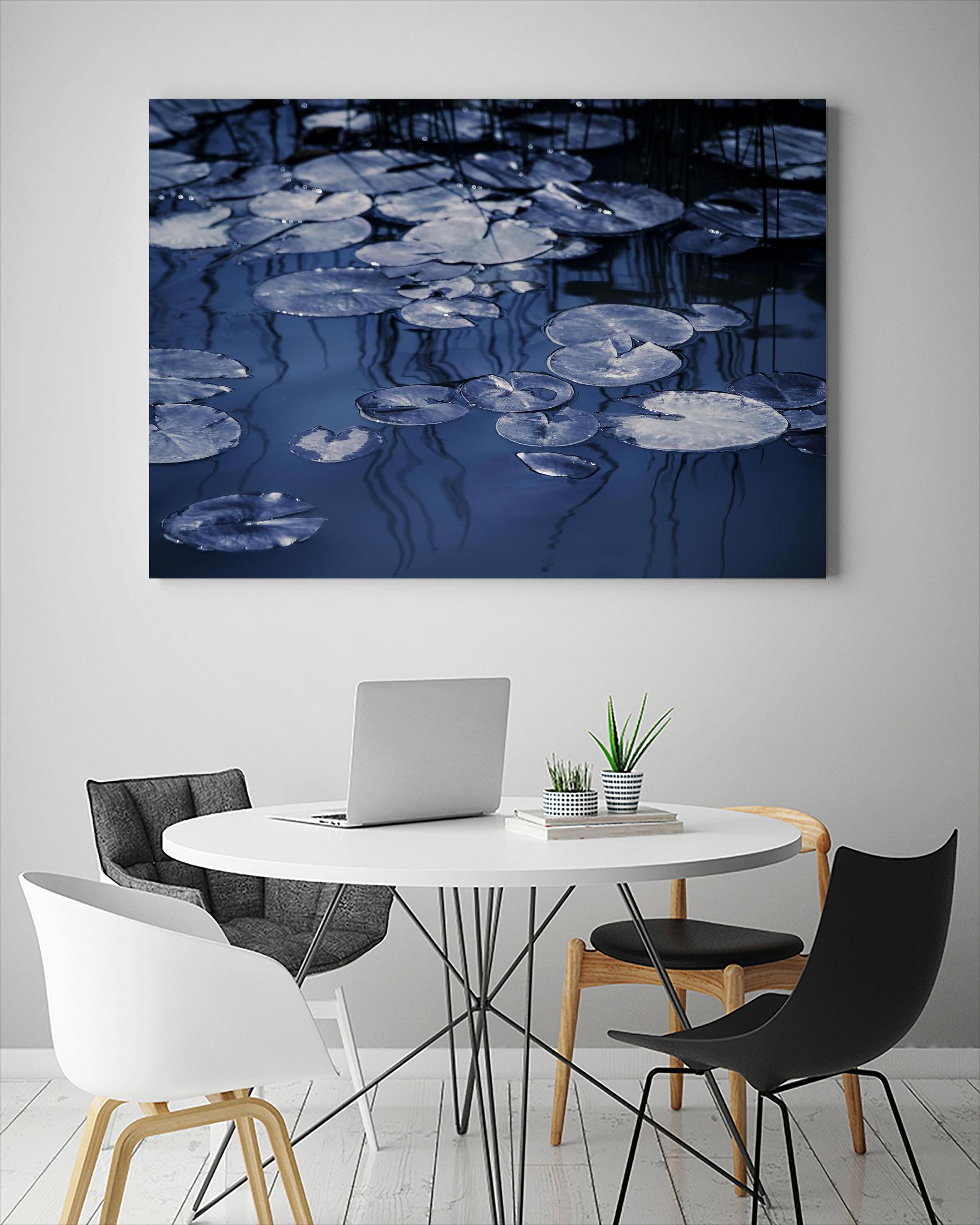 Lili Pond Blue VII by Marc Schacter on GIANT ART - grey photo art