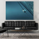 Blue by Sharon Johnstone on GIANT ART - blue photo art