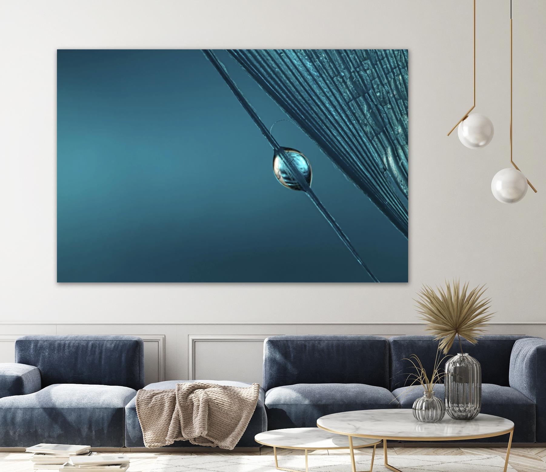 Blue by Sharon Johnstone on GIANT ART - blue photo art