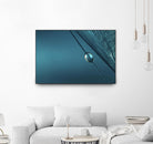 Blue by Sharon Johnstone on GIANT ART - blue photo art