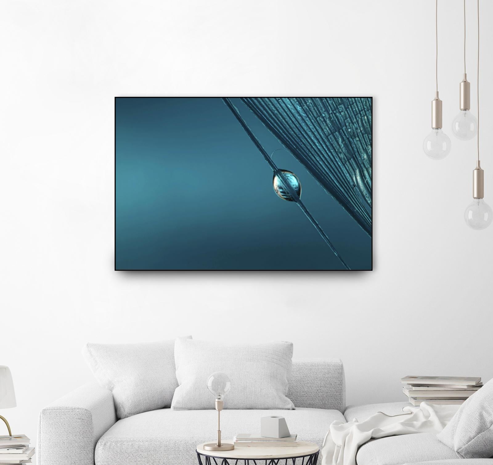 Blue by Sharon Johnstone on GIANT ART - blue photo art