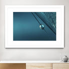 Blue by Sharon Johnstone on GIANT ART - blue photo art