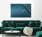 Blue by Sharon Johnstone on GIANT ART - blue photo art
