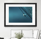 Blue by Sharon Johnstone on GIANT ART - blue photo art