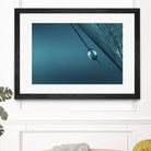 Blue by Sharon Johnstone on GIANT ART - blue photo art