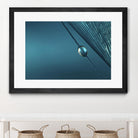 Blue by Sharon Johnstone on GIANT ART - blue photo art