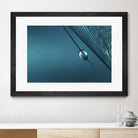 Blue by Sharon Johnstone on GIANT ART - blue photo art