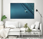 Blue by Sharon Johnstone on GIANT ART - blue photo art