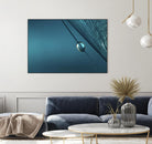 Blue by Sharon Johnstone on GIANT ART - blue photo art