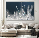 Snow white Ice blue by Sharon Johnstone on GIANT ART - white winter scenes