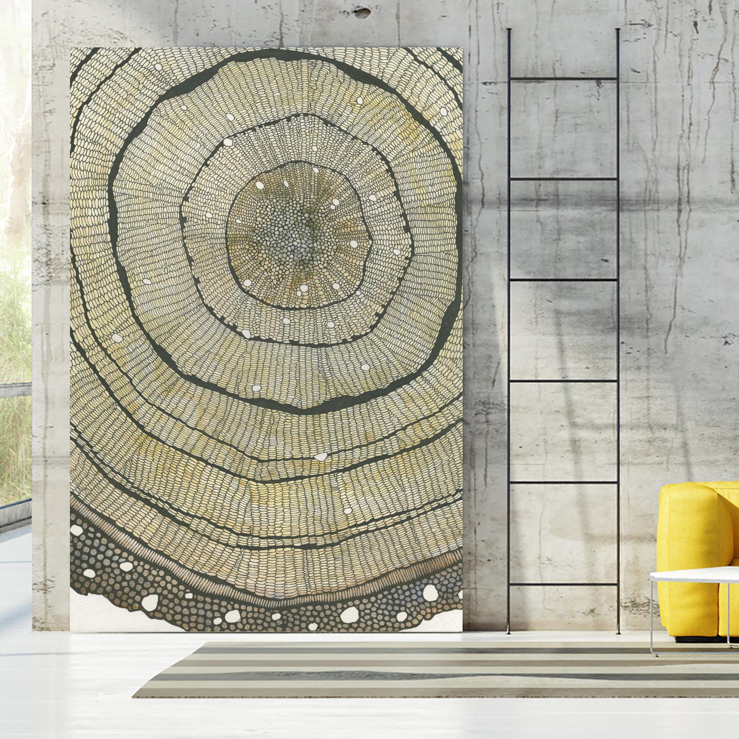 Fir by Sandrine Pellisier on GIANT ART - brown abstract