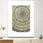 Fir by Sandrine Pellisier on GIANT ART - brown abstract