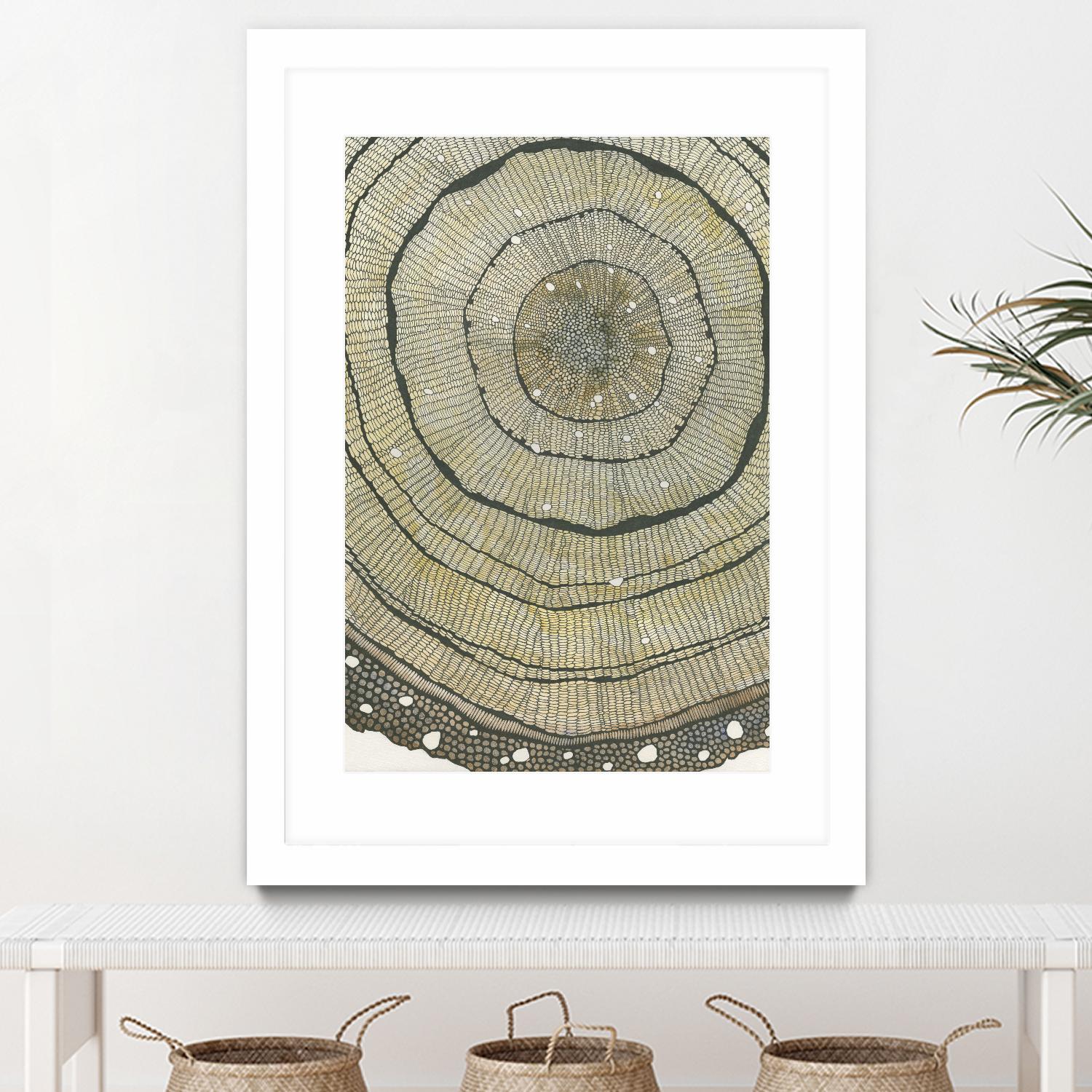 Fir by Sandrine Pellisier on GIANT ART - brown abstract