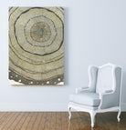 Fir by Sandrine Pellisier on GIANT ART - brown abstract