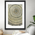 Fir by Sandrine Pellisier on GIANT ART - brown abstract