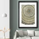 Fir by Sandrine Pellisier on GIANT ART - brown abstract