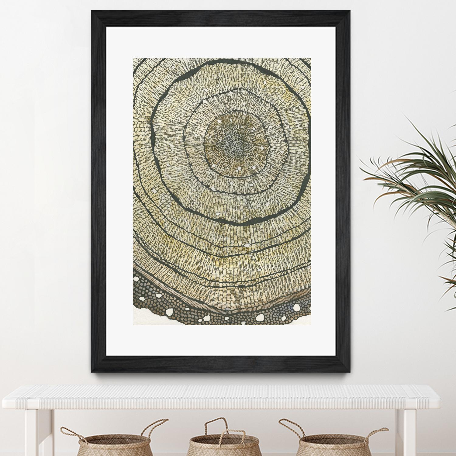 Fir by Sandrine Pellisier on GIANT ART - brown abstract