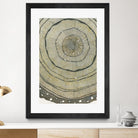 Fir by Sandrine Pellisier on GIANT ART - brown abstract