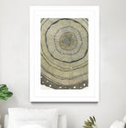 Fir by Sandrine Pellisier on GIANT ART - brown abstract