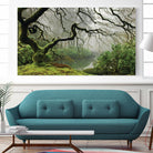 Garden Mist by Don Schwartz on GIANT ART - grey trees