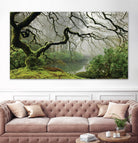 Garden Mist by Don Schwartz on GIANT ART - grey trees