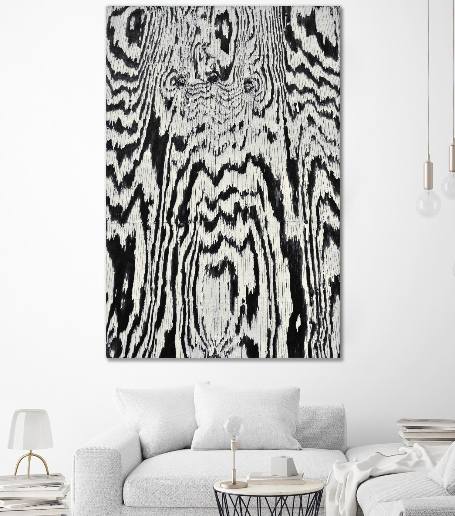Zebra by Caleb Troy on GIANT ART - white abstract
