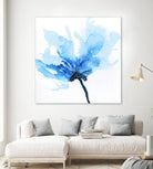 Blue Poppy II by Wendy Kroeker on GIANT ART - white floral