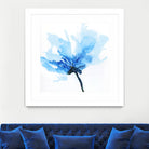 Blue Poppy II by Wendy Kroeker on GIANT ART - white floral