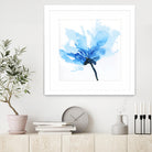 Blue Poppy II by Wendy Kroeker on GIANT ART - white floral