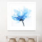 Blue Poppy II by Wendy Kroeker on GIANT ART - white floral